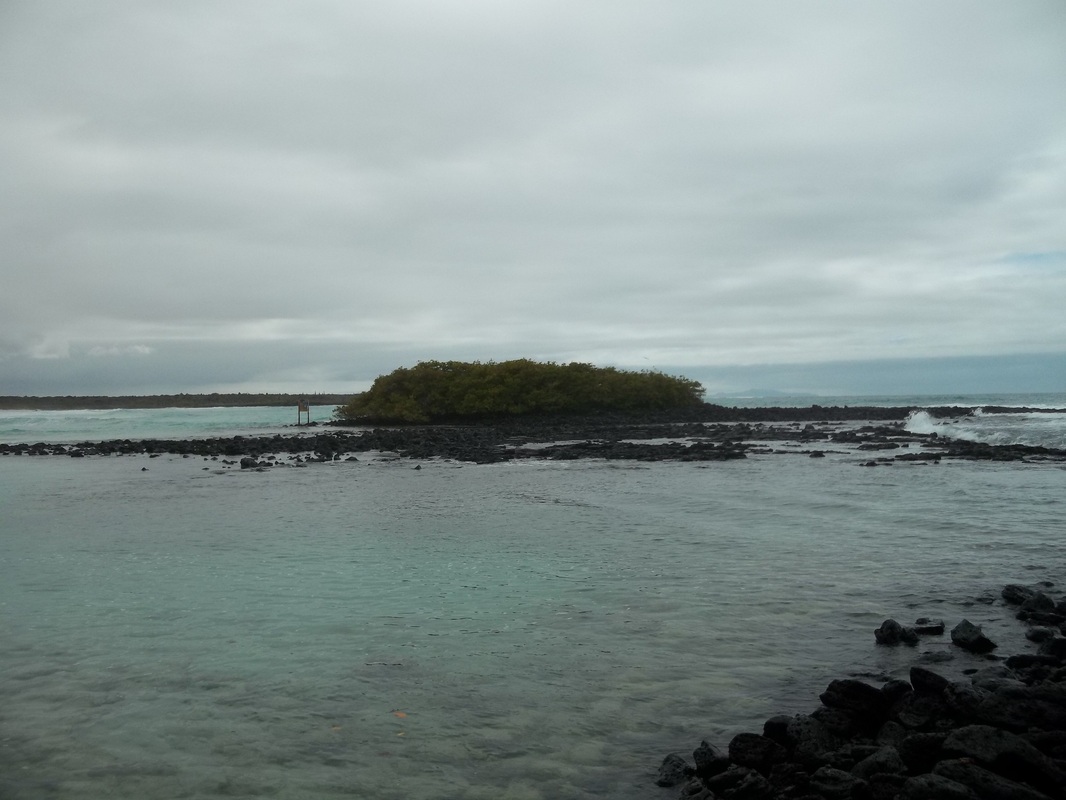 Tortuga Bay, Rocky Island